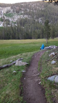 Lyell Canyon Sunday, July 3rd Tiger Lily watercolor painting
