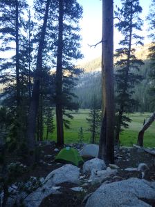 Lyell Canyon Sunday, July 3rd, 2016 Tent site