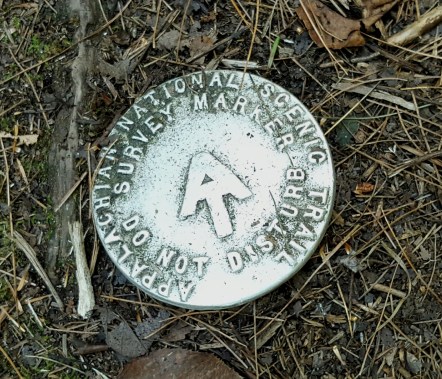 AT survey marker Beacon Hill