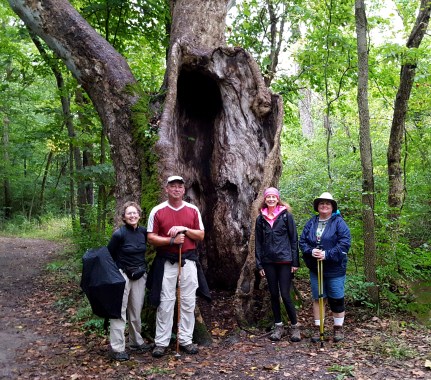 Sweet Arrow Reserve Hike Mountain Laurel's Explorers Meetup
