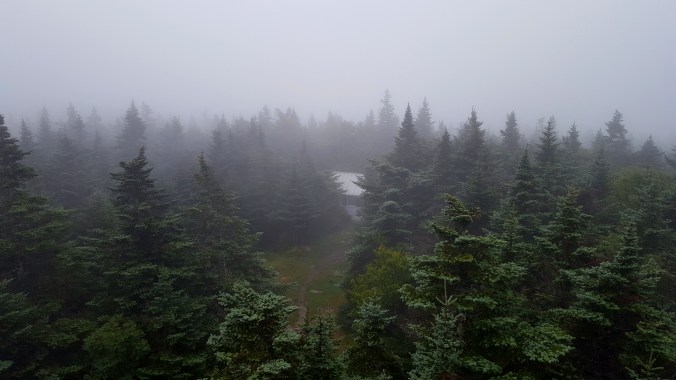 View of the caretakers cabin from the fire tower