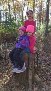 Austen, Oakley & Addison