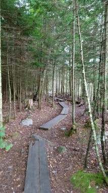 Heading toward Big Branch Wilderness