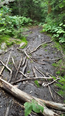 Muddy trail leading to Hazen Camp