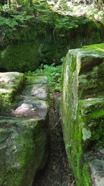 Devil's Gulch Let me squeeze through here!