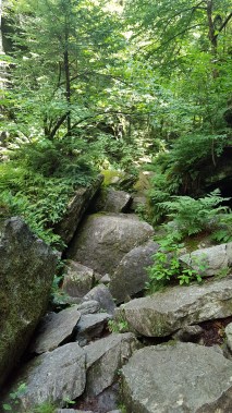 Devil's Gulch Somewhere there is a trail!
