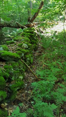 Stonewall approaching Codding Hollow 