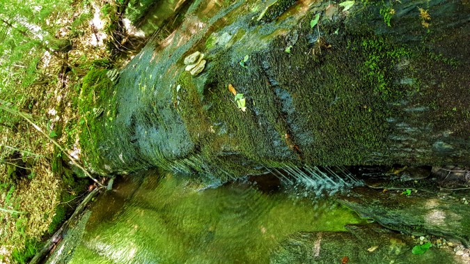 Old logging roads, crossing several small brooks... 