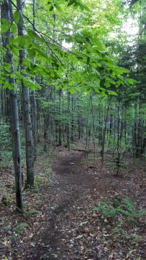 North of Prospect Rock