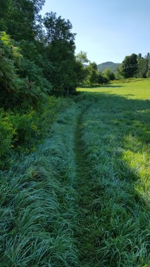 Crossing on open field prior to VT 15