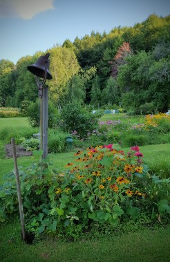 Nye's Green Valley Farm B&B gardens