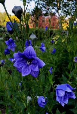 Beautiful gardens...