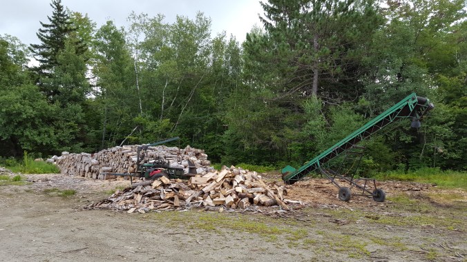 The trail follows a Rail Trail and old logging roads south of West Settlement Road