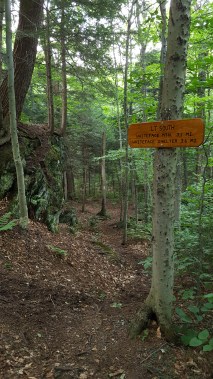 Making my way to Whiteface Shelter
