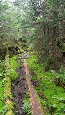 Loving the Long Trail!