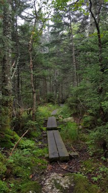 Trail north of Sterling Pond Shelter