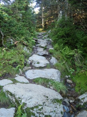 Beginning the climb up to the "Chin"