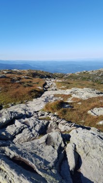 Walking across the Chin