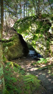 South of Mt Mansfield