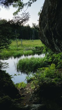North of Puffer Shelter