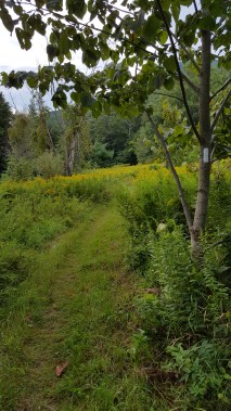 South of VT 2 Section of newer re-routed trail