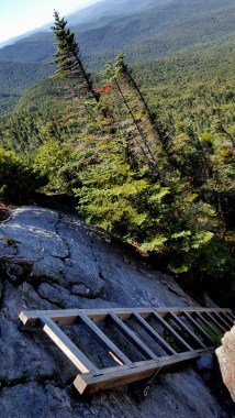 Descending the Forehead