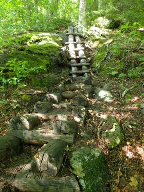 Camel's Hump State Park