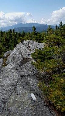 Love the open ledges!