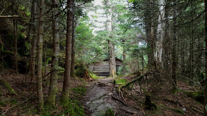Hiking past the Theron Dean Shelter Built 1966 Renovated in 2009 Sleeps five
