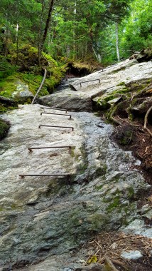 Assist up Stark's Nest