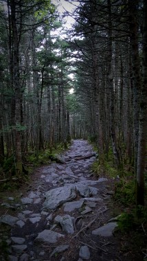 South of Battell Shelter