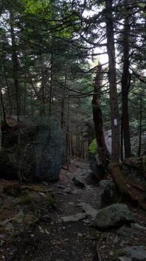 The Carpenters Two huge boulders named after a pair of workers.