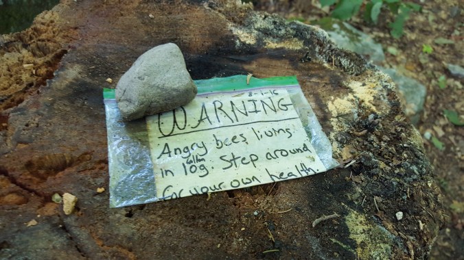 Hikers warning hikers of bee's in tree