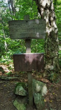 MAINE Junction Willard Gap Where the Long Trail meets the Appalachian Trail 