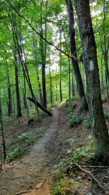 Finally on the Appalachian Trail