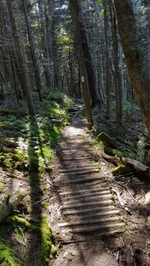 Corduroy Bridge North of Killington Peak