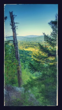 Airport Lookout 1,400'