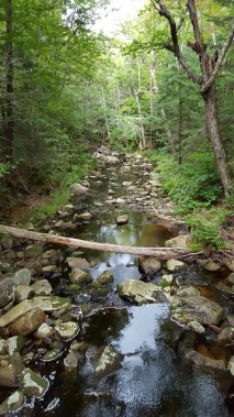 Lye Brook Wilderness Brook just south of Prospect Rock