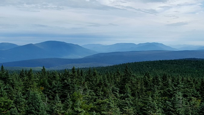 Glastenbury Mtn Fire Tower Northeast view