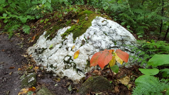 Vermont marble along the trail