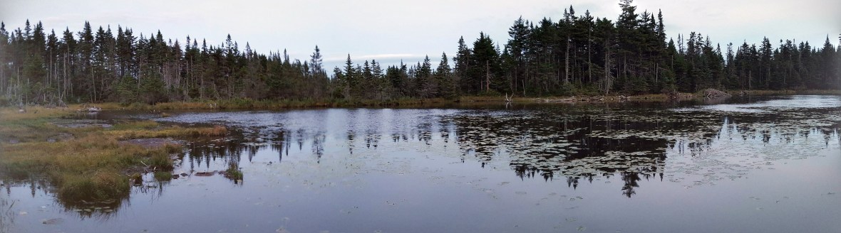 Skyline Pond